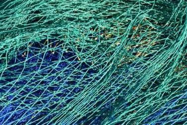 The Rise of Renewable Synthetics
